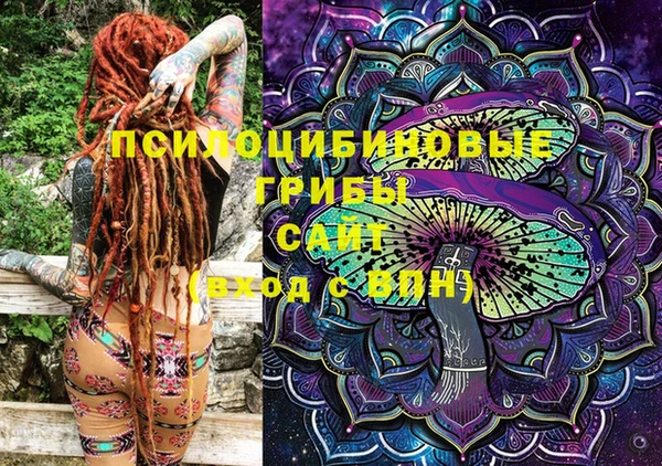 спиды Белокуриха