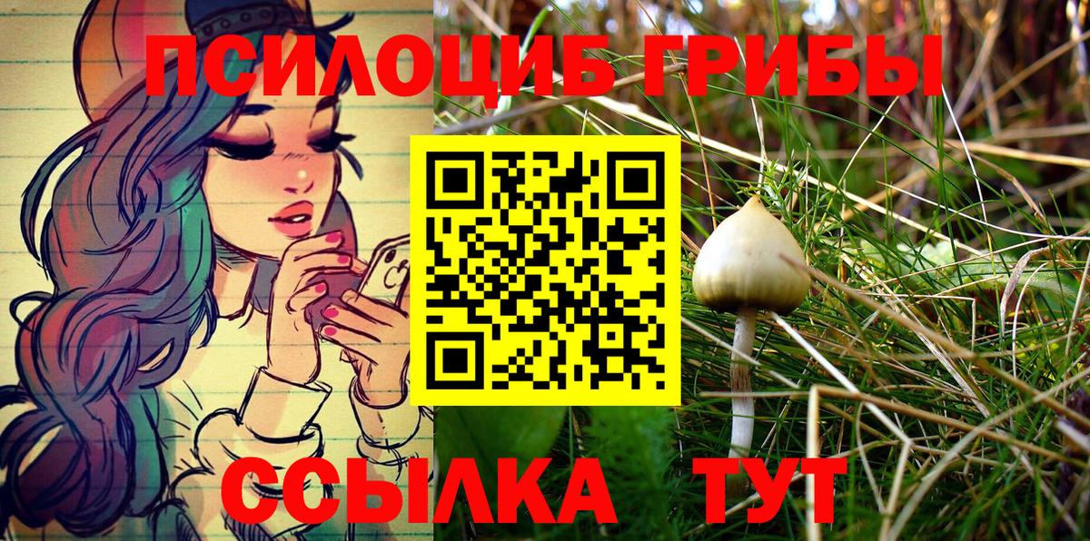 Галлюциногенные грибы Psilocybe Воскресенск