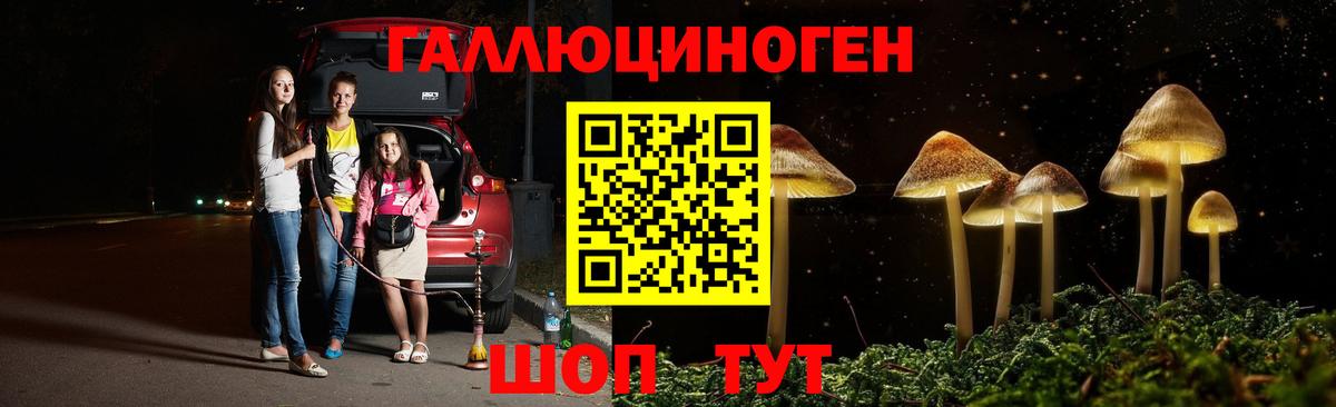 Псилоцибиновые грибы GOLDEN TEACHER  Вход с VPN  Воскресенск 